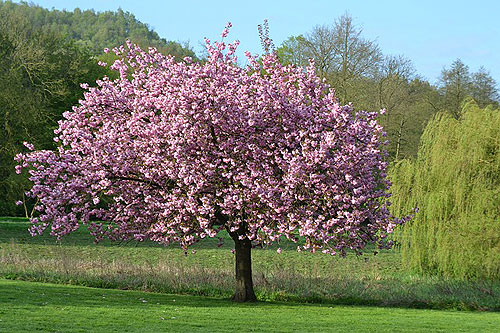 Charleroi