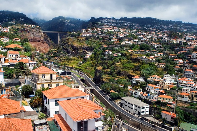 Removals to Portugal â€“ Funchal